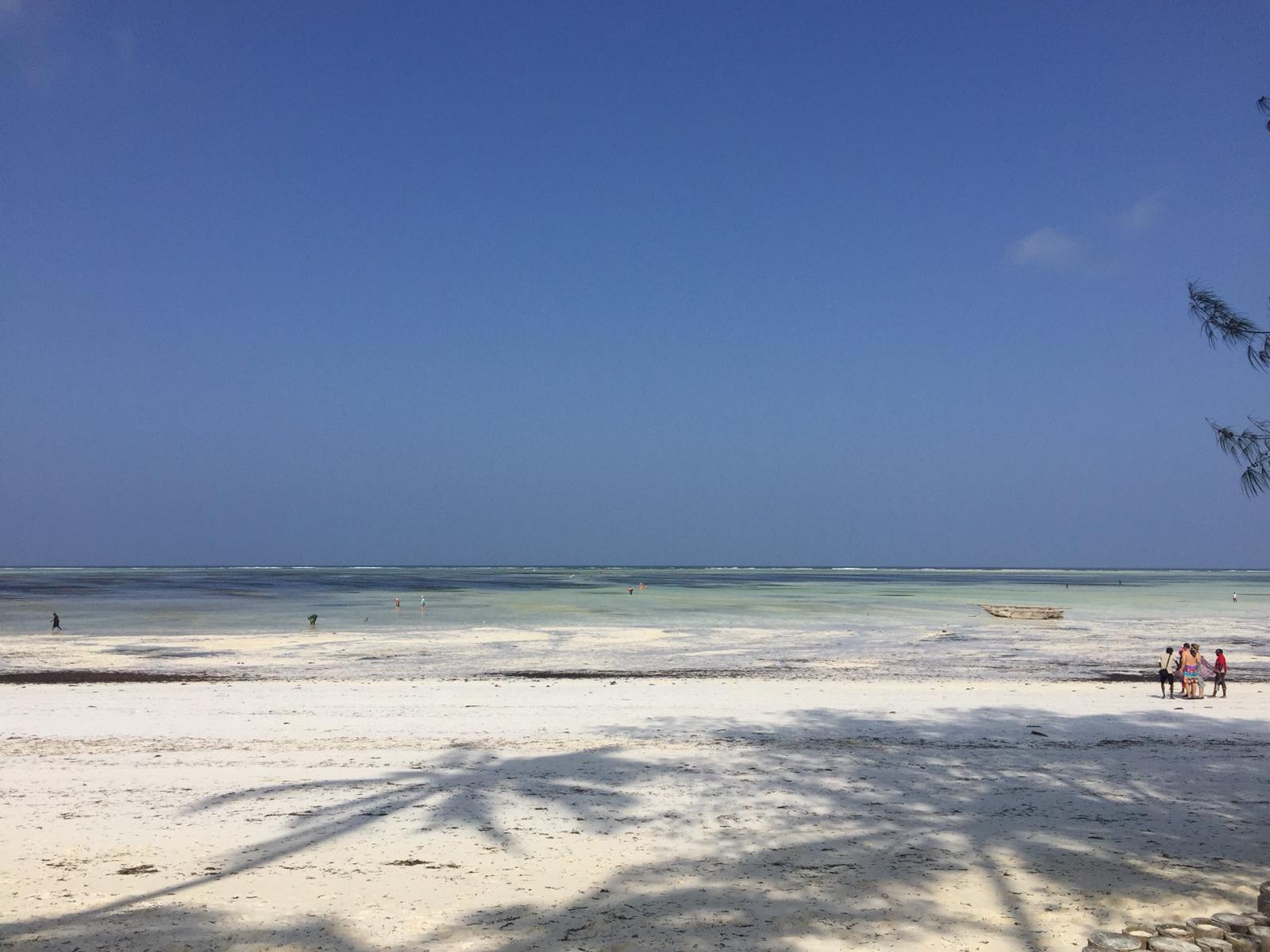 Zanzibar 2018 - Portale della Val Chisone e Germanasca ...